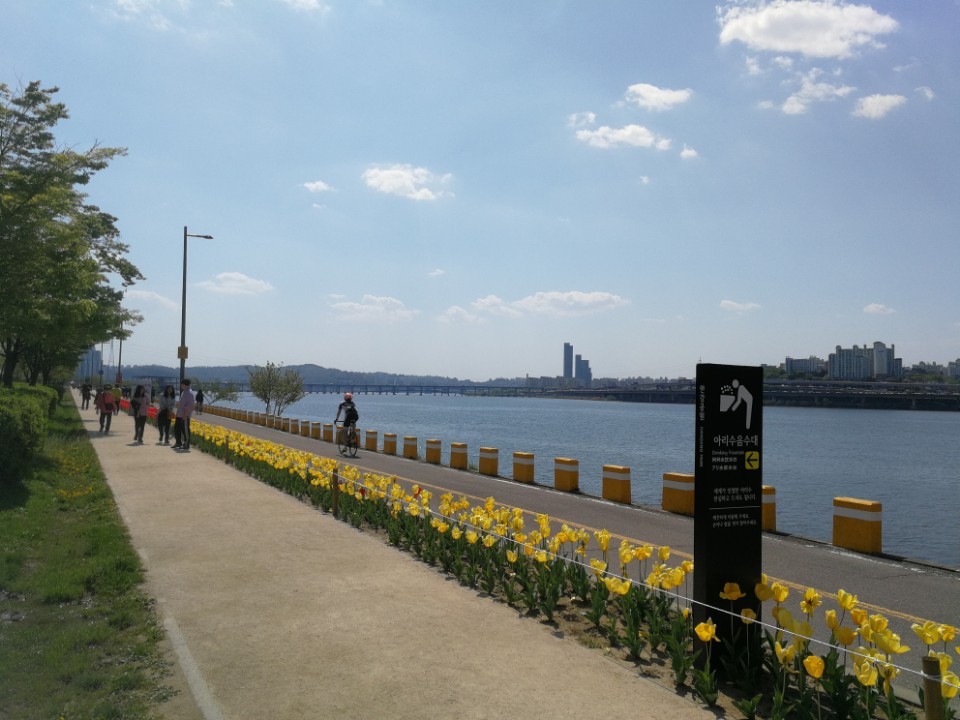 sport gratuit seoul - blog coree du sud - the korean dream (2)