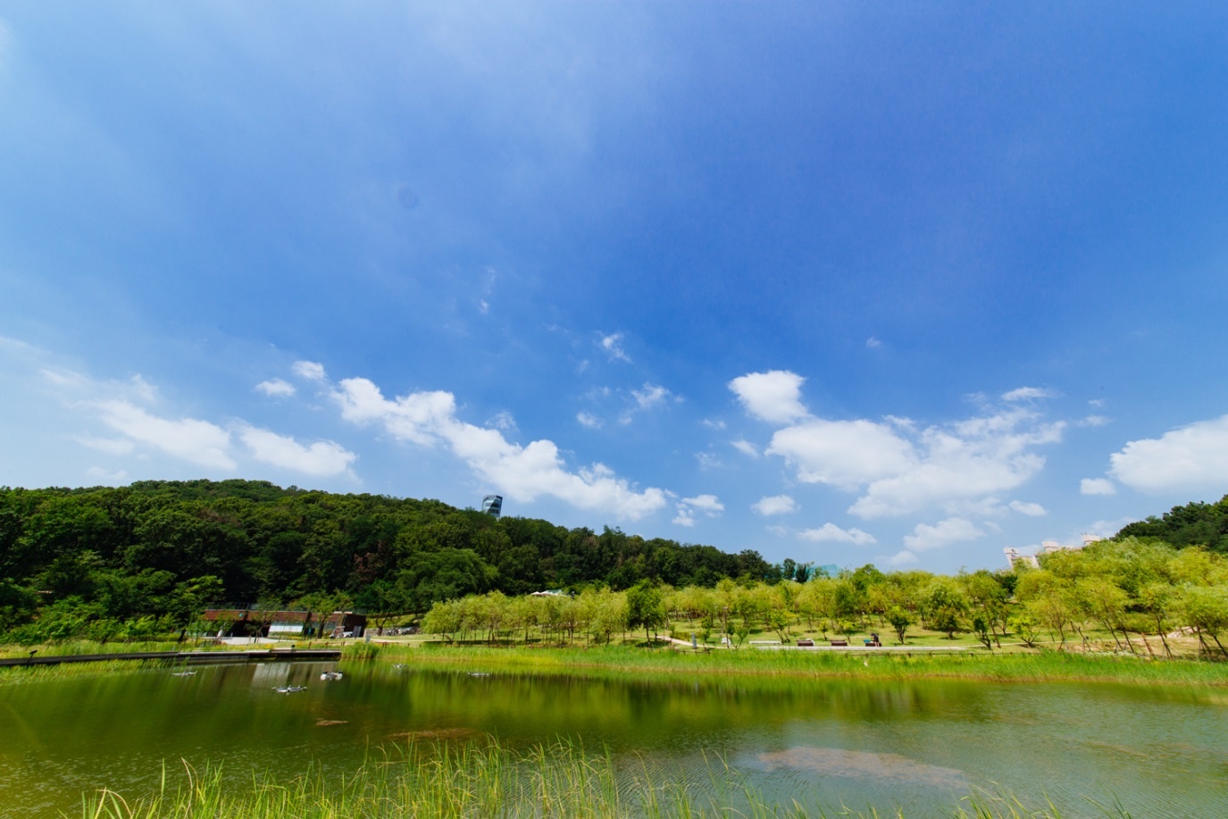 Dream forest top10 Parcs - blog coree du sud - the korean dream 2