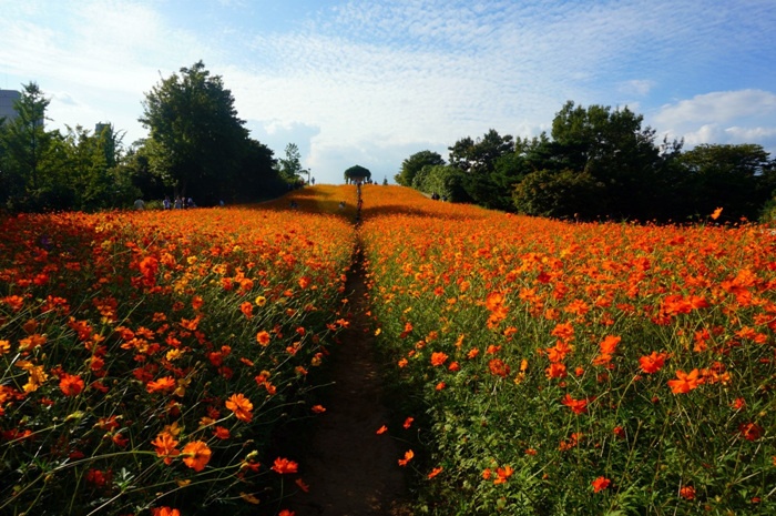 Olympic park Seoul top10 Parcs - blog coree du sud - the korean dream 2