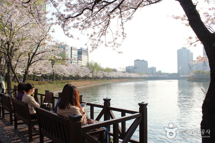 Seokchon lake Seoul top10 Parcs - blog coree du sud - the korean dream 2