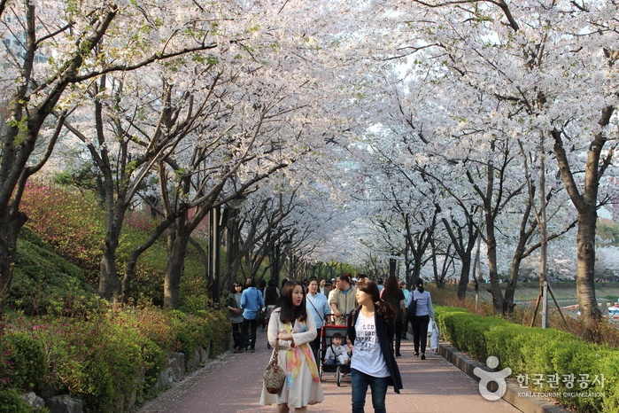 Seokchon lake Seoul top10 Parcs - blog coree du sud - the korean dream