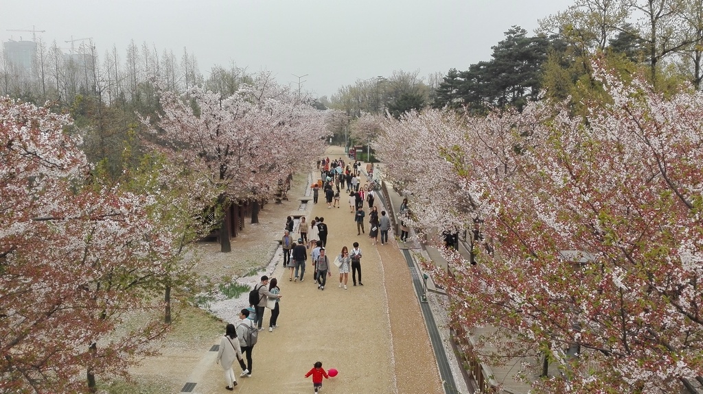 Seoul forest top10 Parcs - blog coree du sud - the korean dream.jpg 2
