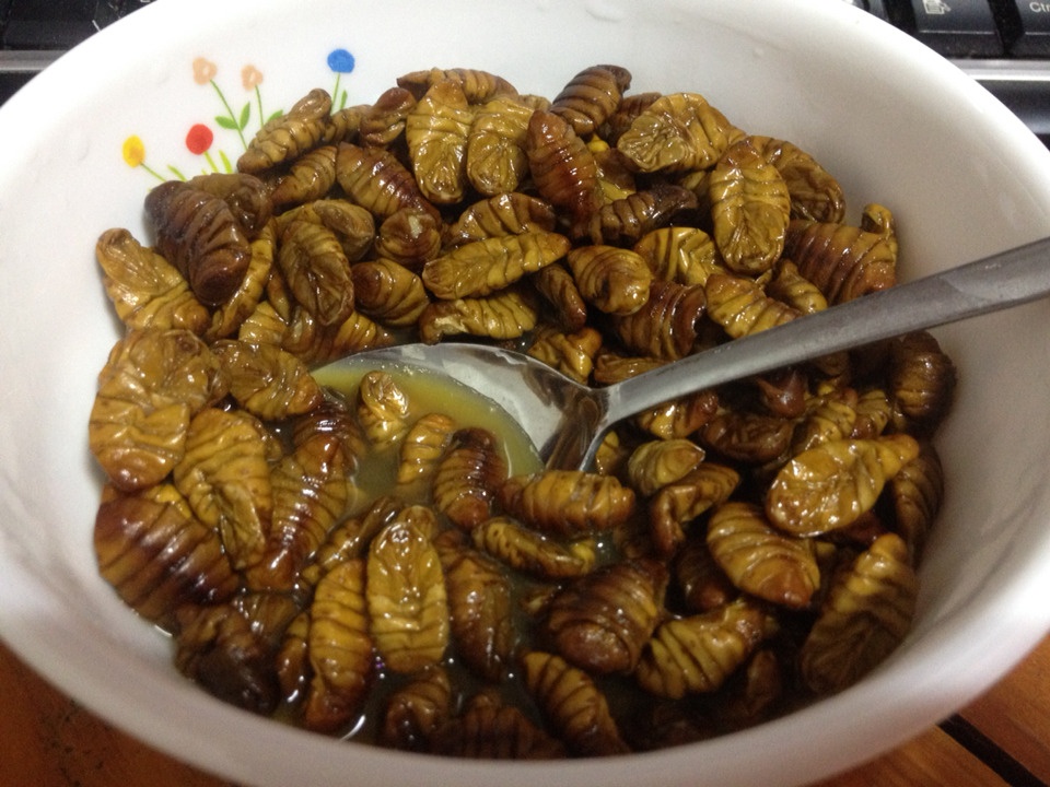 plats coreens bizarres - blog coree du sud - the korean dream 2