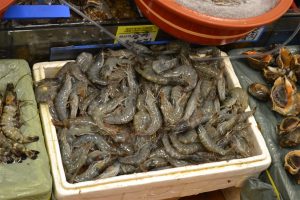 Noryangjin marché de poisson - blog corée du sud - The korean dream