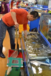 Noryangjin marché de poisson - blog corée du sud - The korean dream