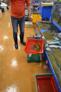 Noryangjin marché de poisson - blog corée du sud - The korean dream