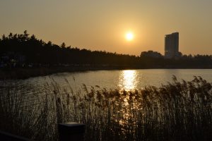 Lever du soleil Gangneung - blog coree du sud - the korean dream 5
