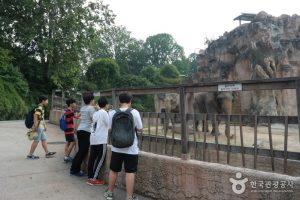 Childrens grand park Seoul top10 Parcs - blog coree du sud - the korean dream 3