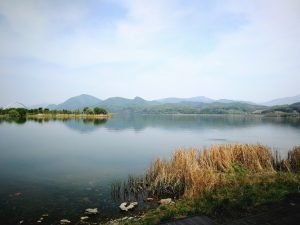 KOFIC NamYangju - The Korean Dream - Blog coree du sud 2