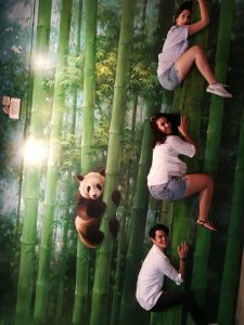 Trickeye museum - The korean dream - Blog coree du sud 1