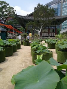 Jogyesa 30000 wons activites - The Korean Dream - blog coree du sud 3