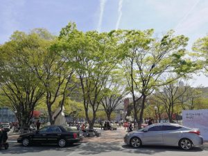 Programme dimmigration et dintegration coreen KIIP - blog coree du sud - the korean dream 1