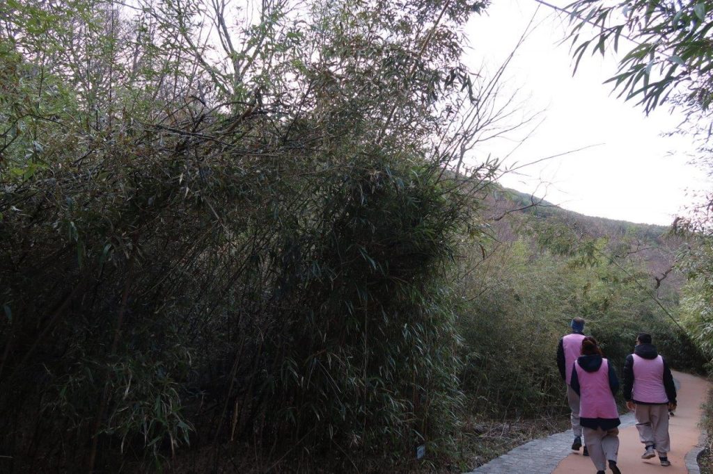 Temple-stay-Hwaomsa-blog-coree-du-sud-the-korean-dream-68