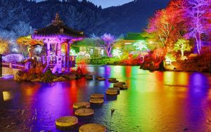 illumination garden of morning calm