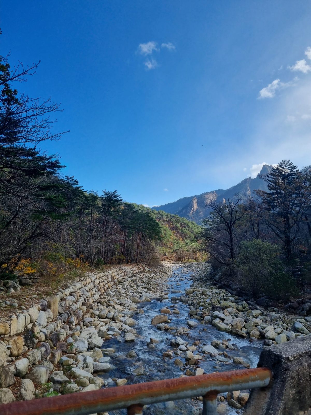 Guide privé avec licence officielle en Corée