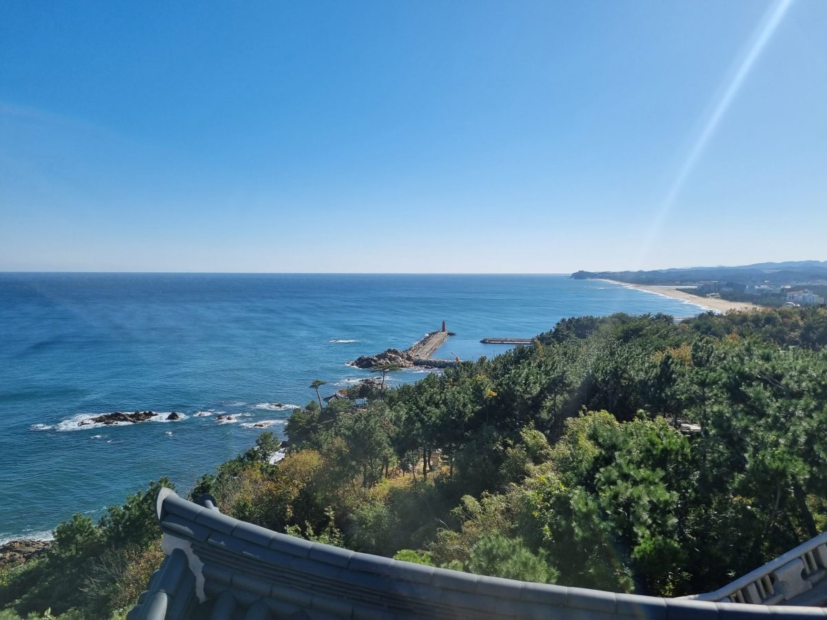 Guide privé avec licence officielle en Corée