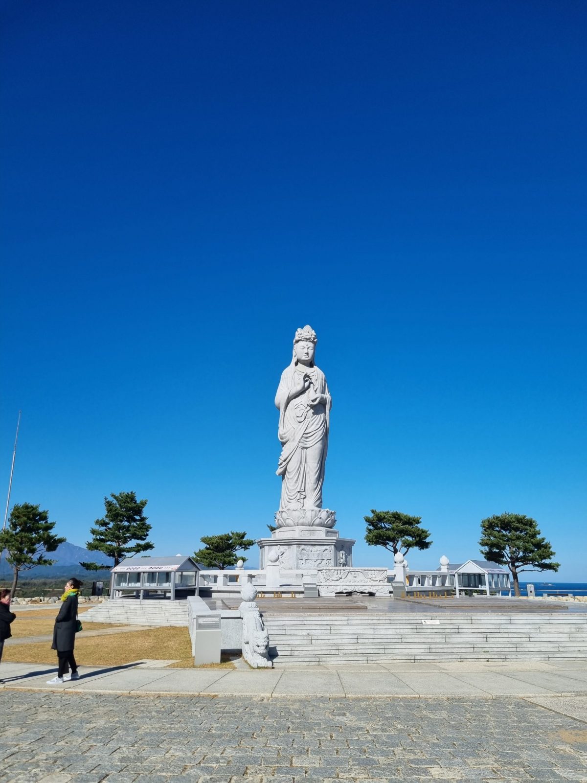 Guide privé avec licence officielle en Corée