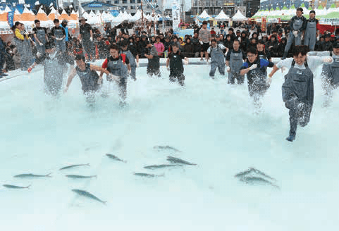 Choenamdan (Southernmost) Bangeo Festival jeju