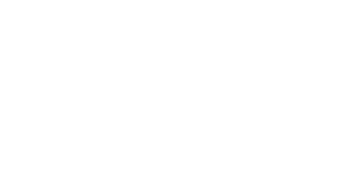 THE KOREAN DREAM